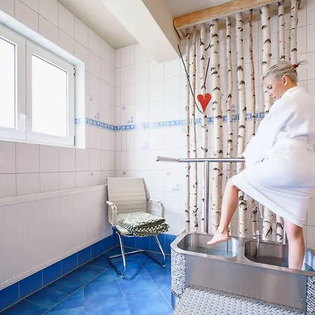 Francis Spa Hotel Hotel 3*