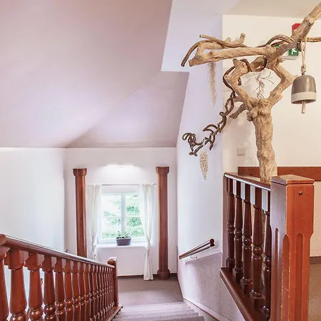 Francis Spa Hotel Františkovy Lázně