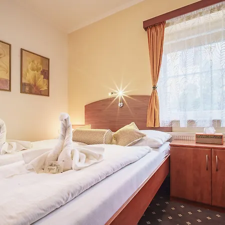 Hotel Francis Spa Hotel 3*