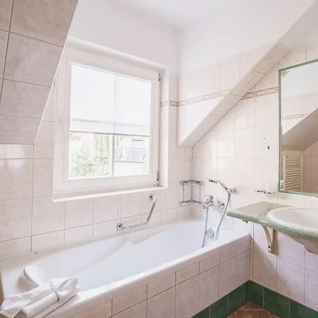 Francis Spa Hotel 3* Frantiskovy Lazne