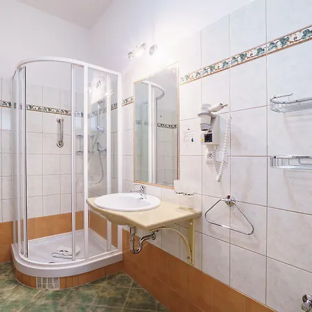 Hotel Francis Spa Hotel Frantiskovy Lazne