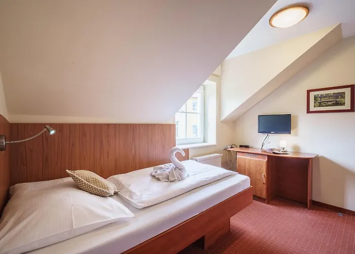 Hotel Francis Spa Hotel Františkovy Lázně