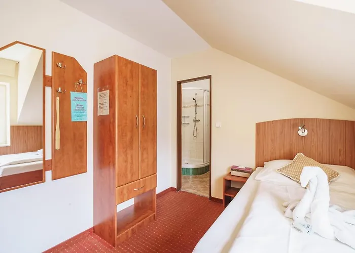 Francis Spa Hotel 3* Františkovy Lázně