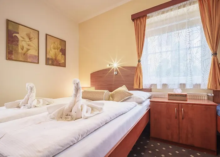 Francis Spa Hotel Františkovy Lázně