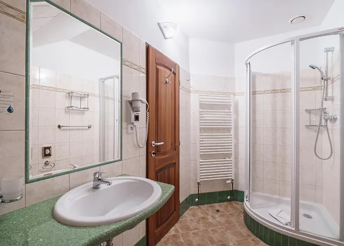 Francis Spa Hotel Hotel 3*