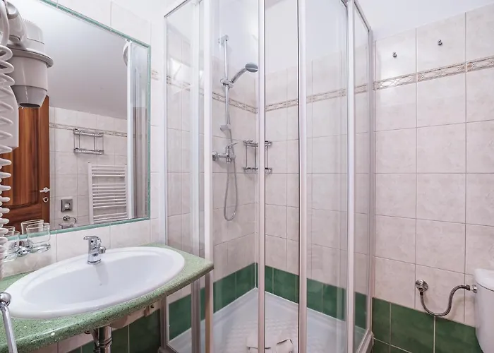 Francis Spa Hotel Hotel Františkovy Lázně