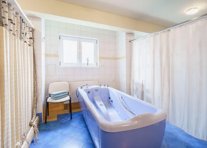 Francis Spa Hotel Hotel 3*