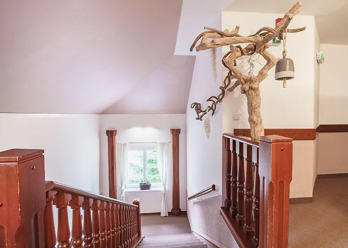 Francis Františkovy Lázně