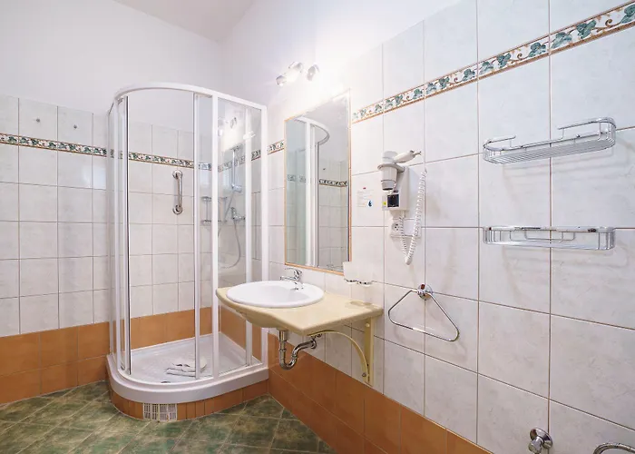 Hotel Francis Spa Hotel Františkovy Lázně