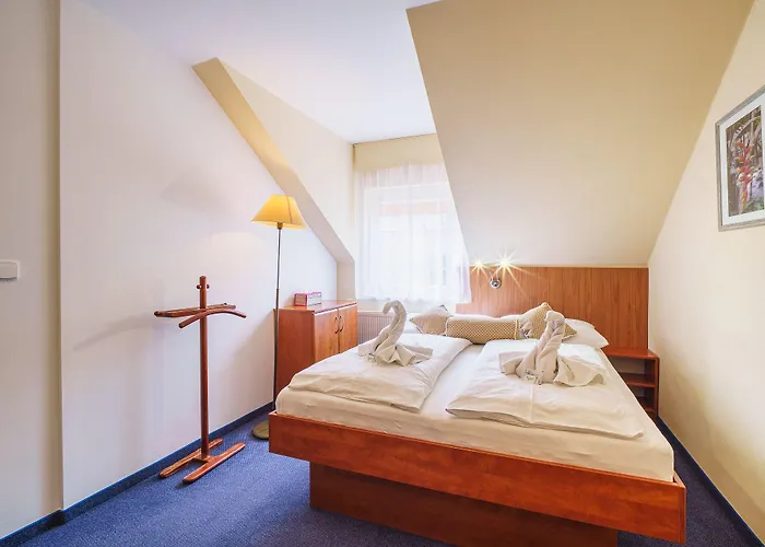 Francis Spa Hotel Františkovy Lázně